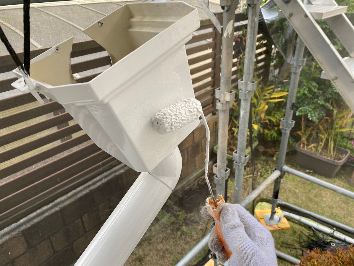 雨樋 / 上塗り（1液ファインシリコンセラUV）