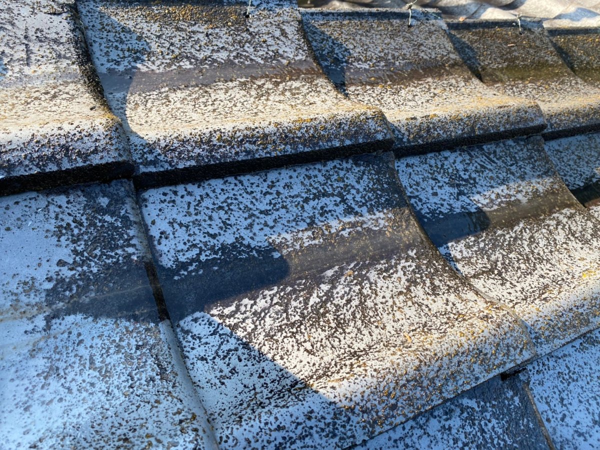 高圧洗浄（瓦屋根） / 洗浄前