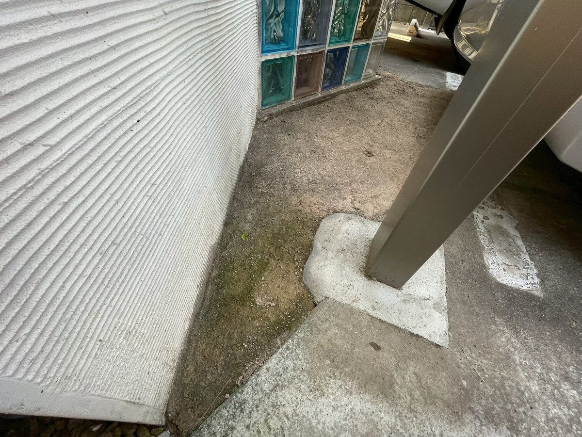 門柱の足元 / 地面の苔(施工前)