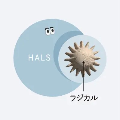 ラジカル制御型塗料
